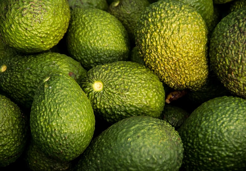 Fresh Avocado Salad